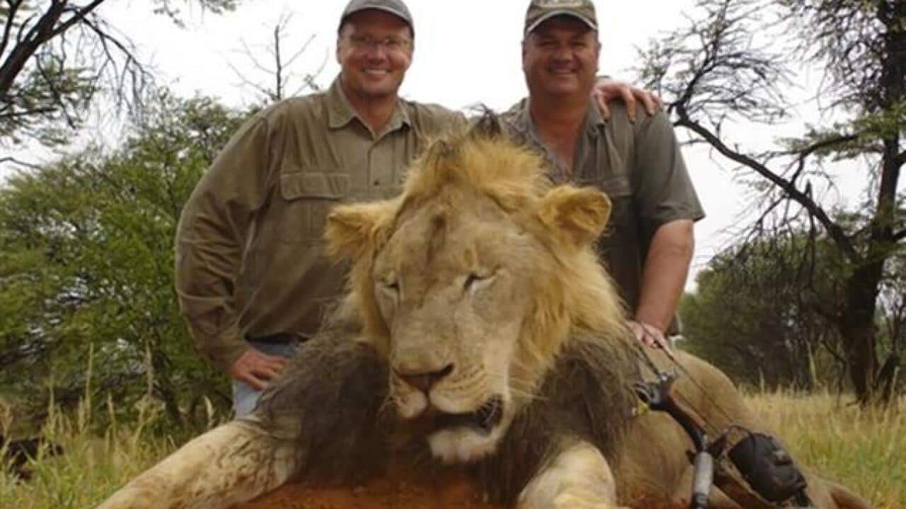 American dentist Walter Palmer, left, will not be charged after he killed protected black-manned lion, Cecil.