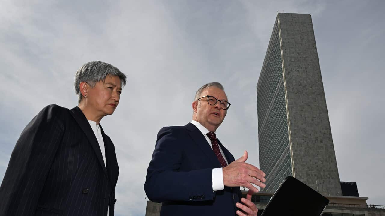 ANTHONY ALBANESE UNITED NATIONS