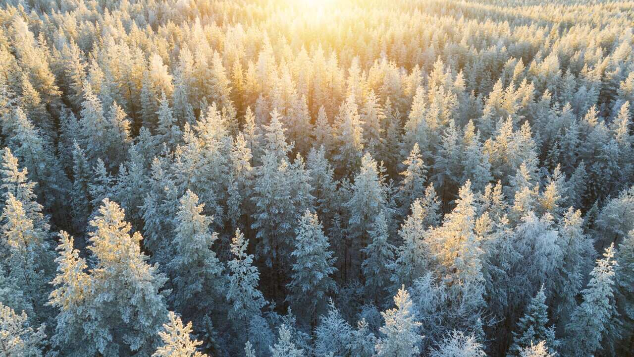 Revealed: Alone Australia’s toughest location yet as show set for return Revealed: Alone Australia’s toughest location yet as show set for return