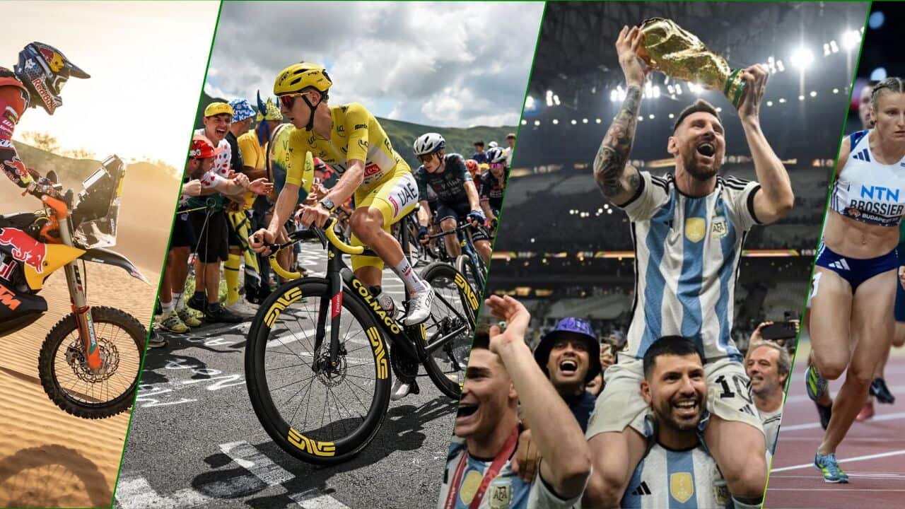 SBS Sport image