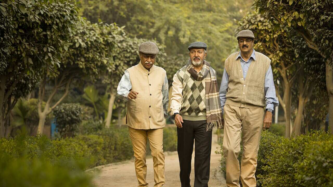 Three old male friends walking at park