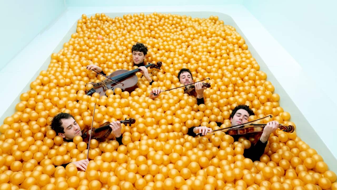 Vision String Quartett 21.09.23.jpg