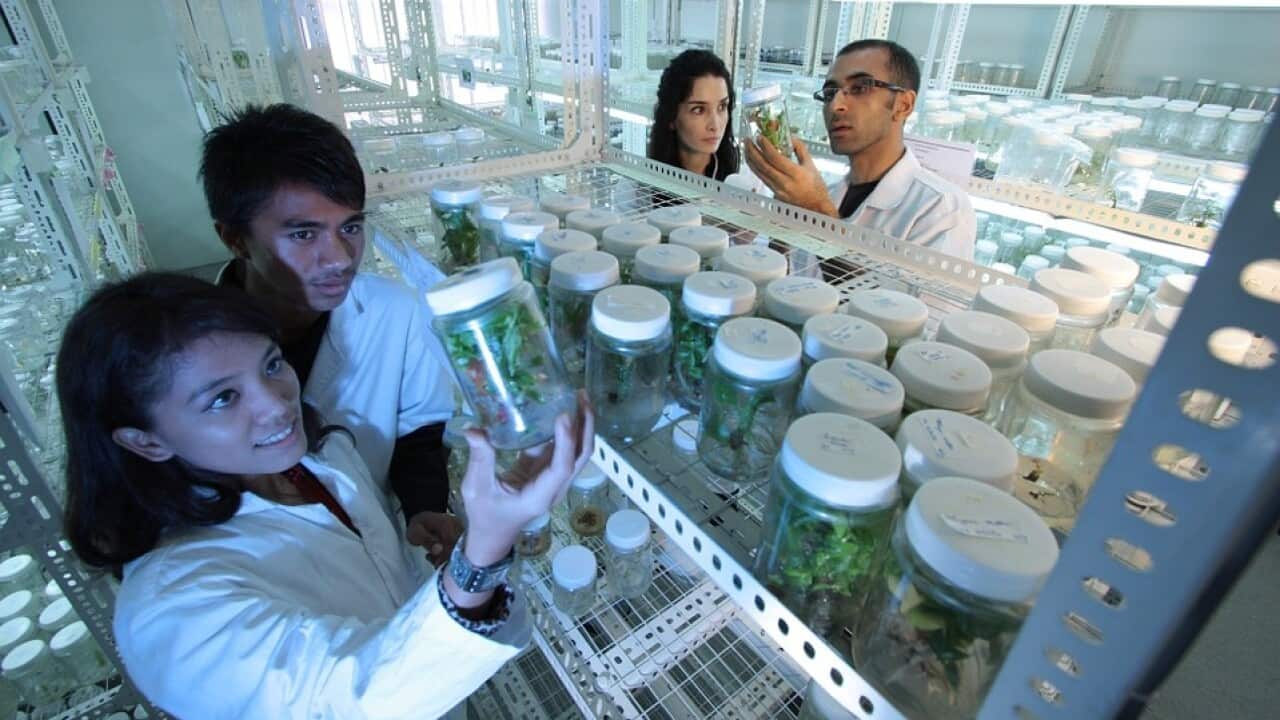 scientists in the laboratory