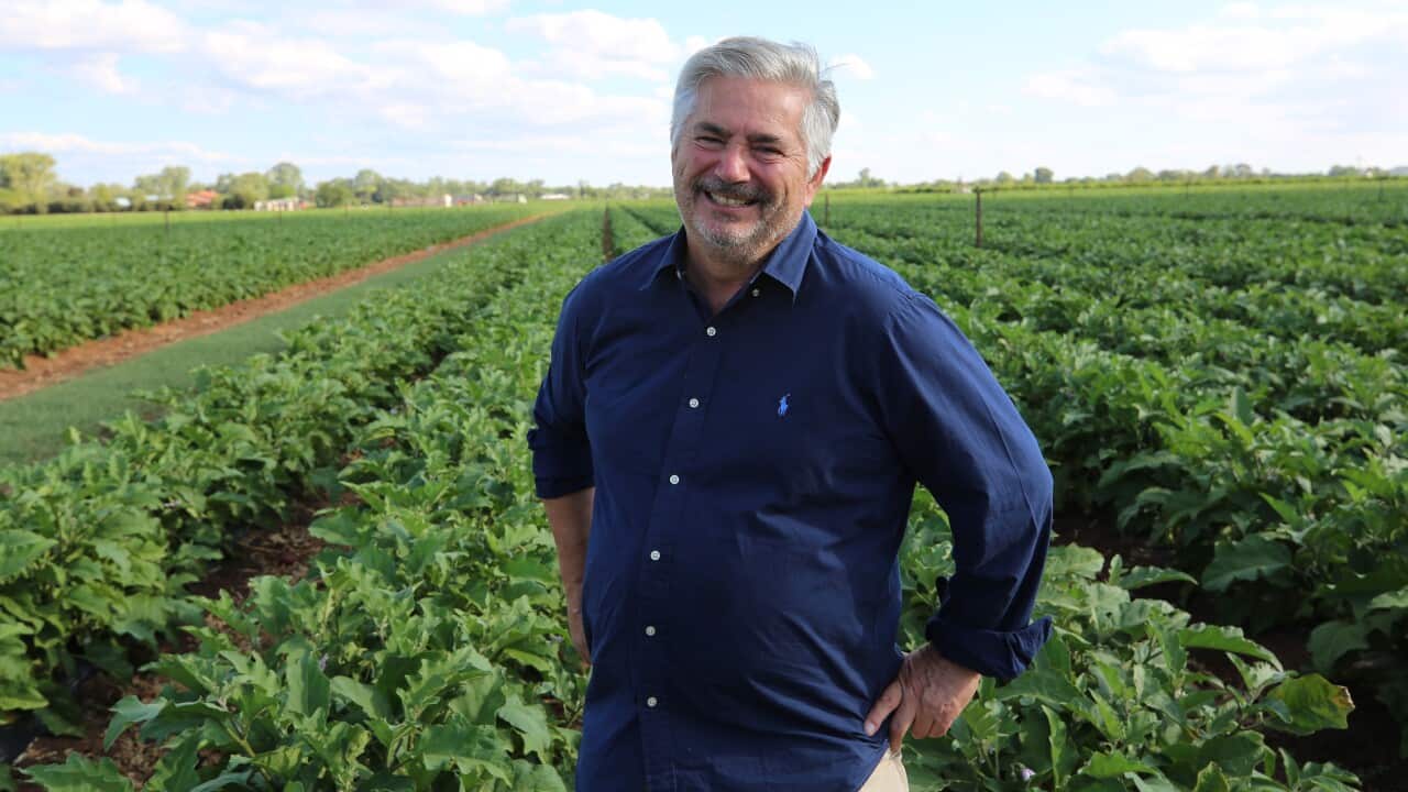 Image for read more article 'Potrebbe interessarti anche'