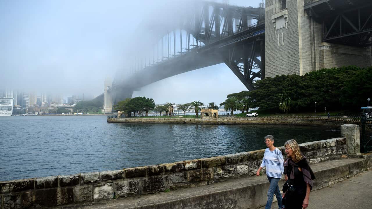 SYDNEY FOG