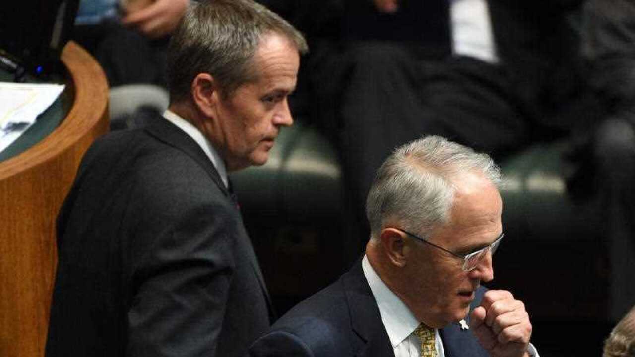 turnbull shorten