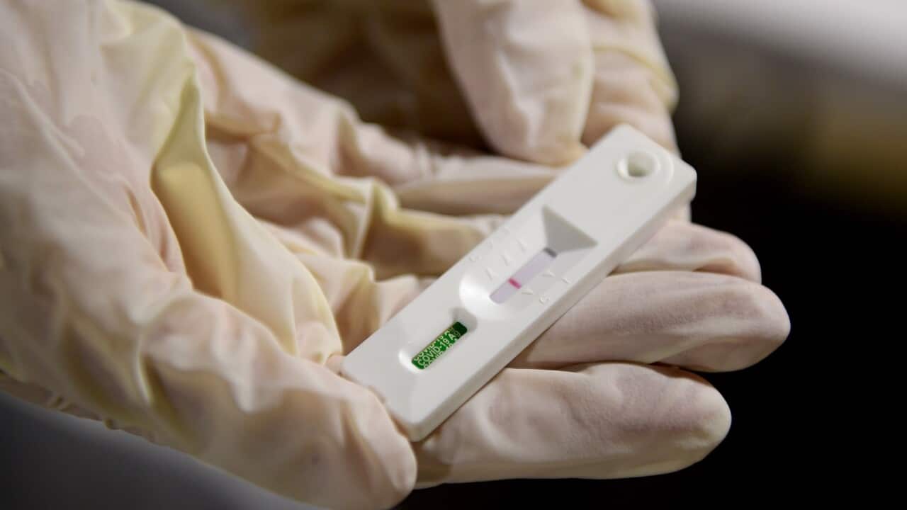 Rapid Antigen Test