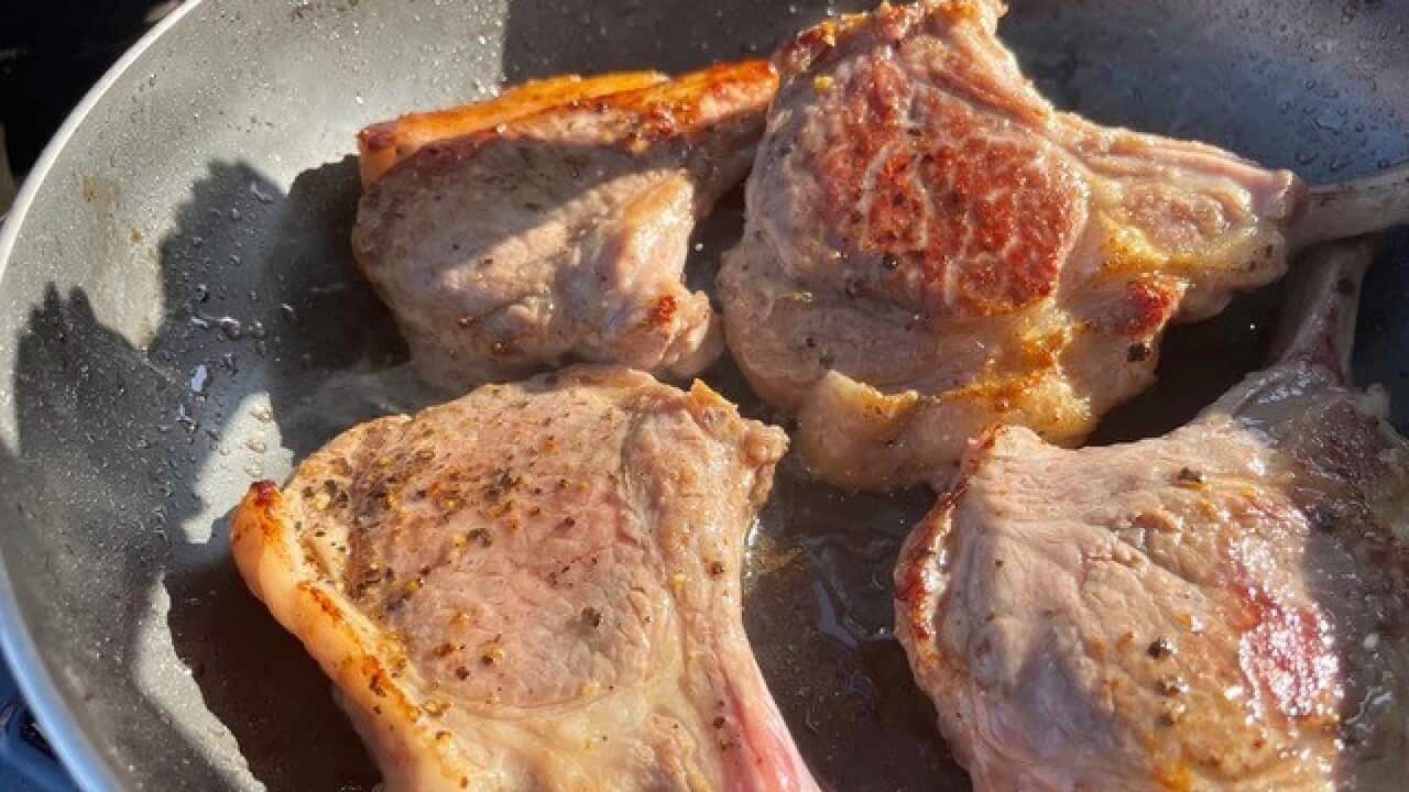 Mayu Tomaru Lamb.jpg