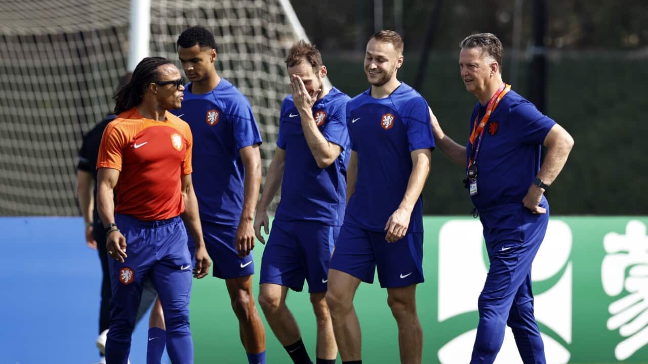 FIFA World Cup Qatar 2022"Training session The Netherlands"