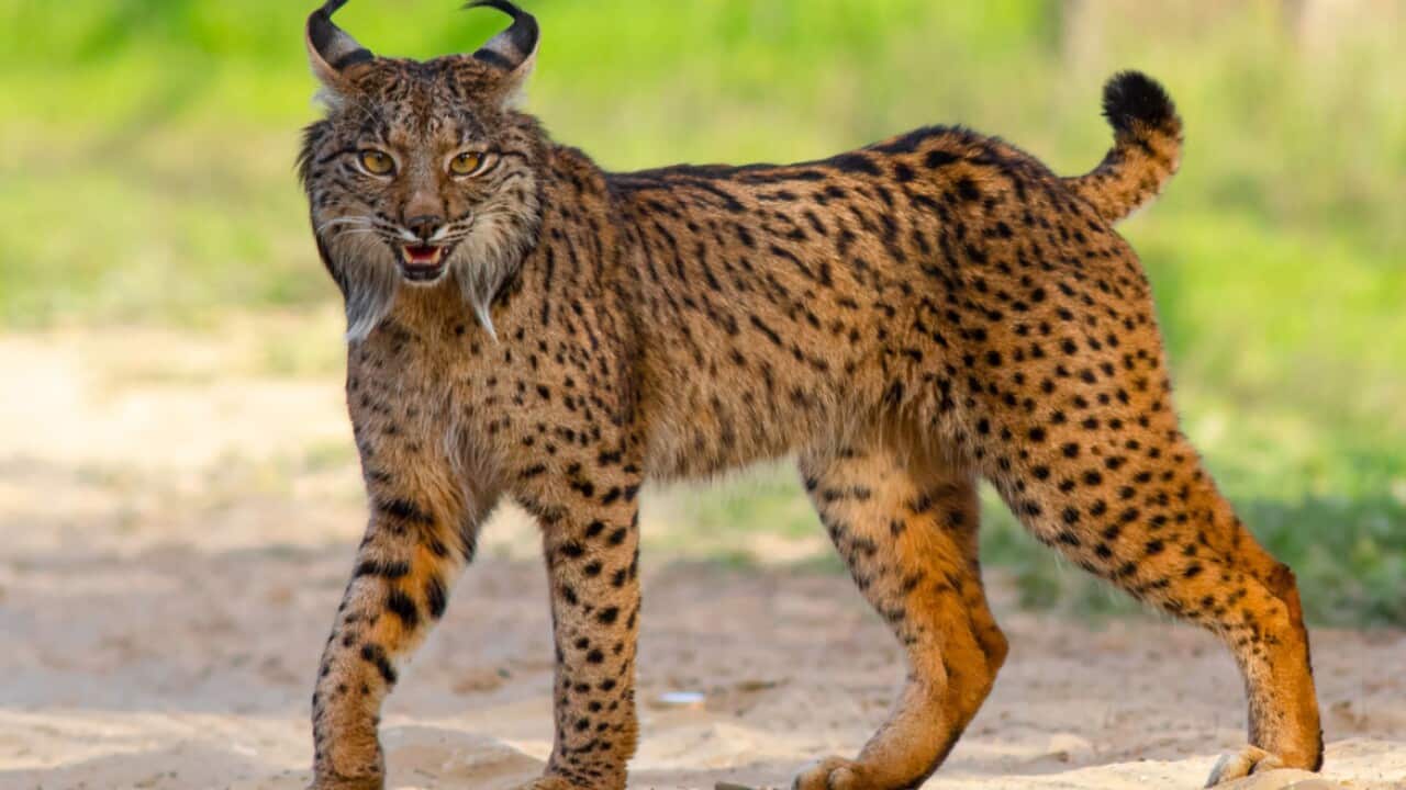 Image for read more article 'READ MORE'