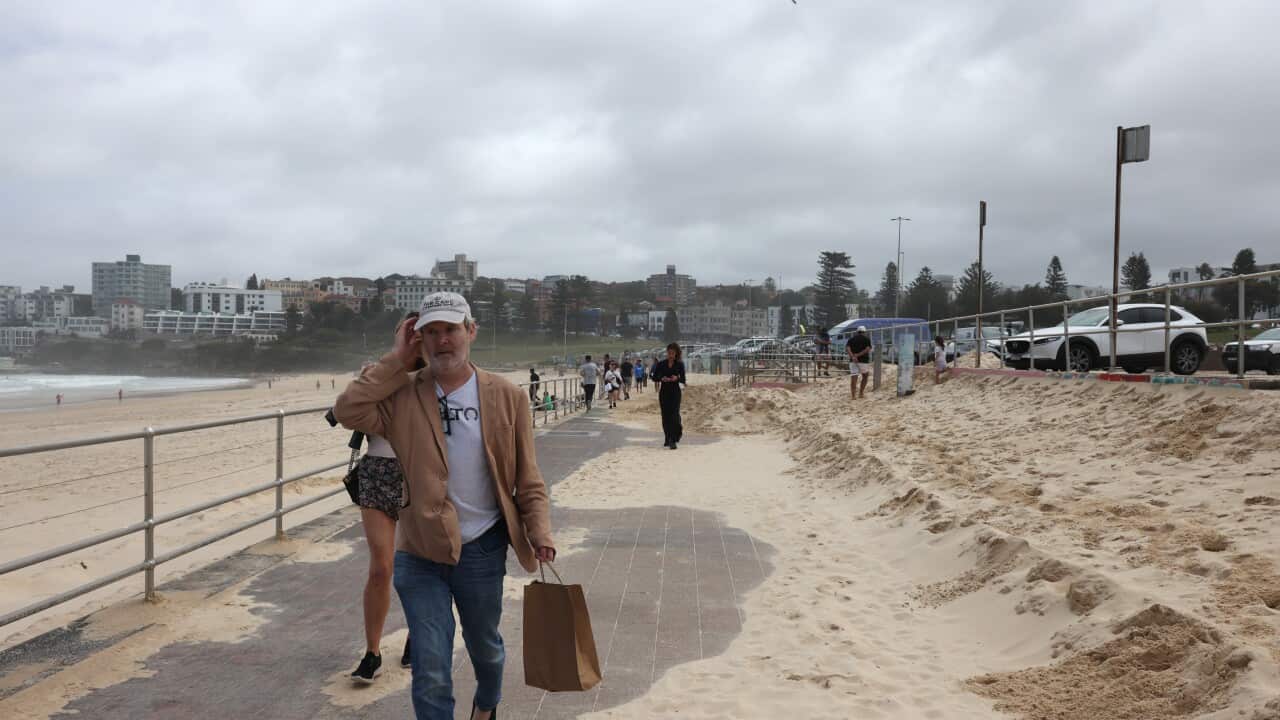 BONDI BEACH SANDSTORM