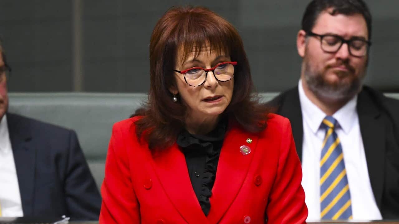 Nationals Member for Mallee Anne Webster delivers her first speech in the House of Representatives at Parliament House in Canberra, Thursday, August 1, 2019. (AAP Image/Lukas Coch) NO ARCHIVING