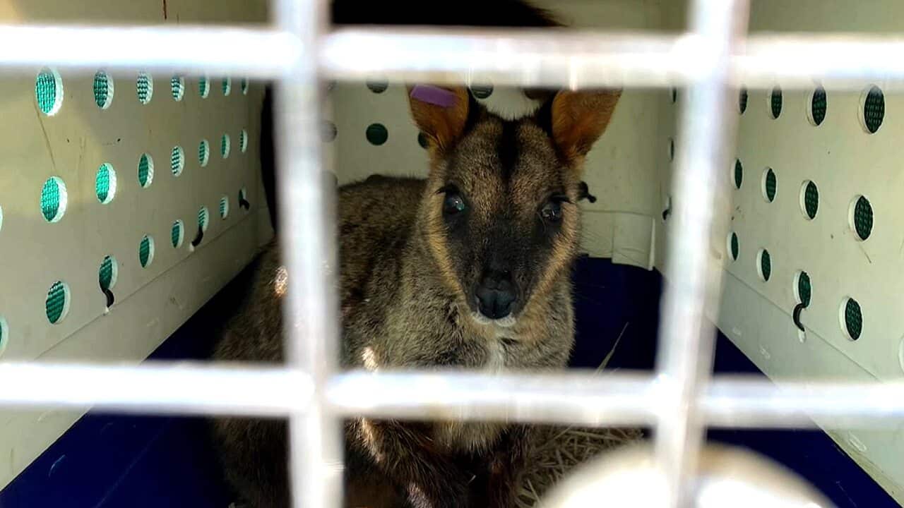 Image for read more article ''