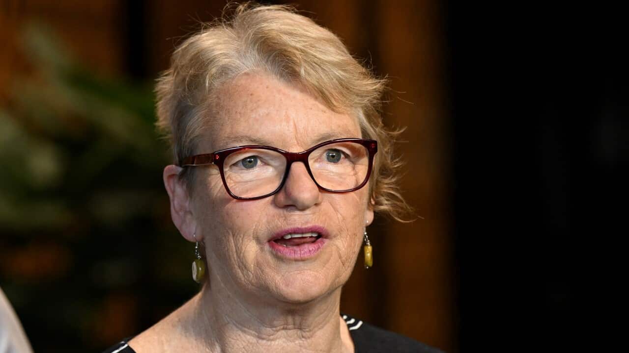 Greens Senator Janet Rice (AAP)