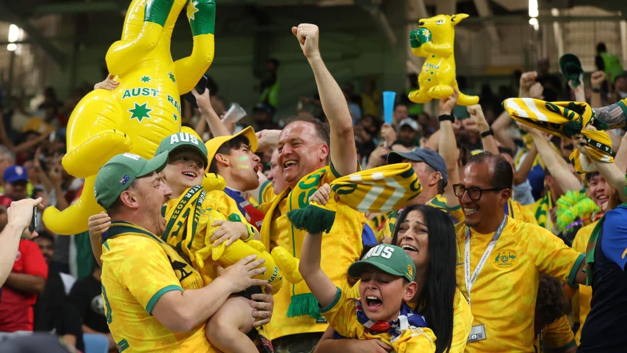 Fans wearing Australian colours celebrate in stadium