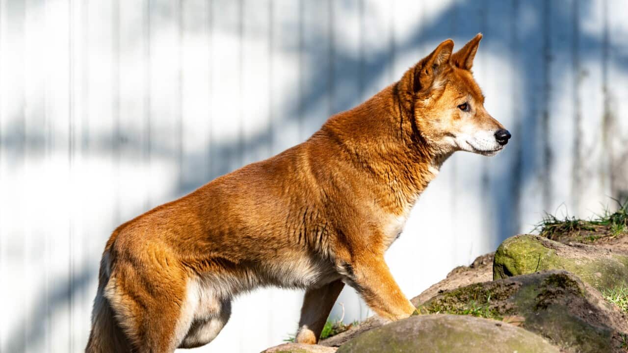 Image for read more article 'READ MORE'