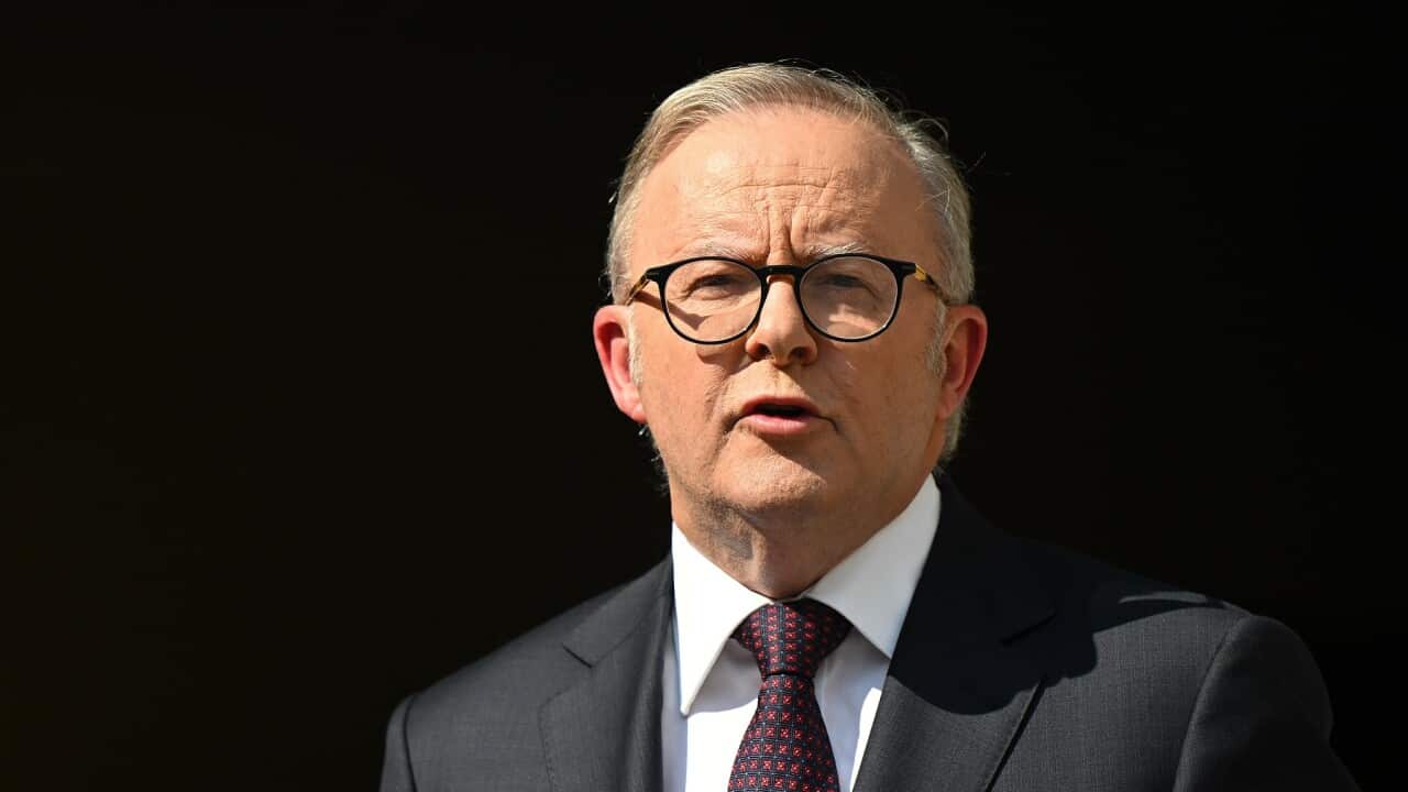 Anthony Albanese announces a Royal Commission (AAP)