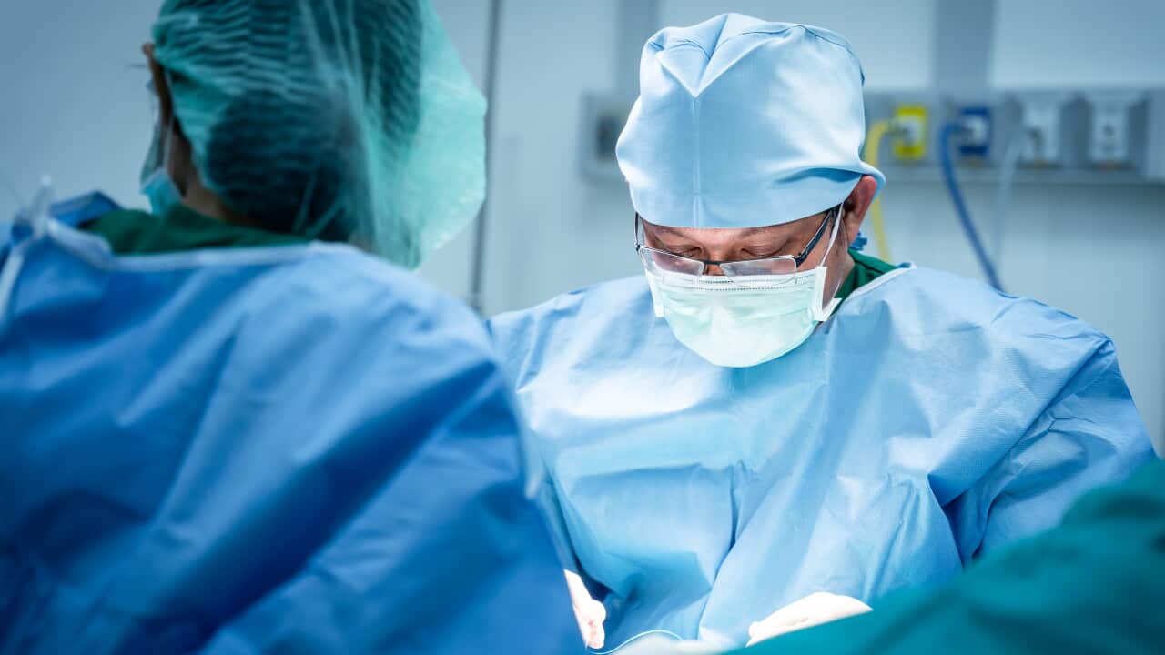 Marking a ‘new frontier’, a man has become the first to receive a genetically-edited pig kidney Marking a ‘new frontier’, a man has become the first to receive a genetically-edited pig kidney