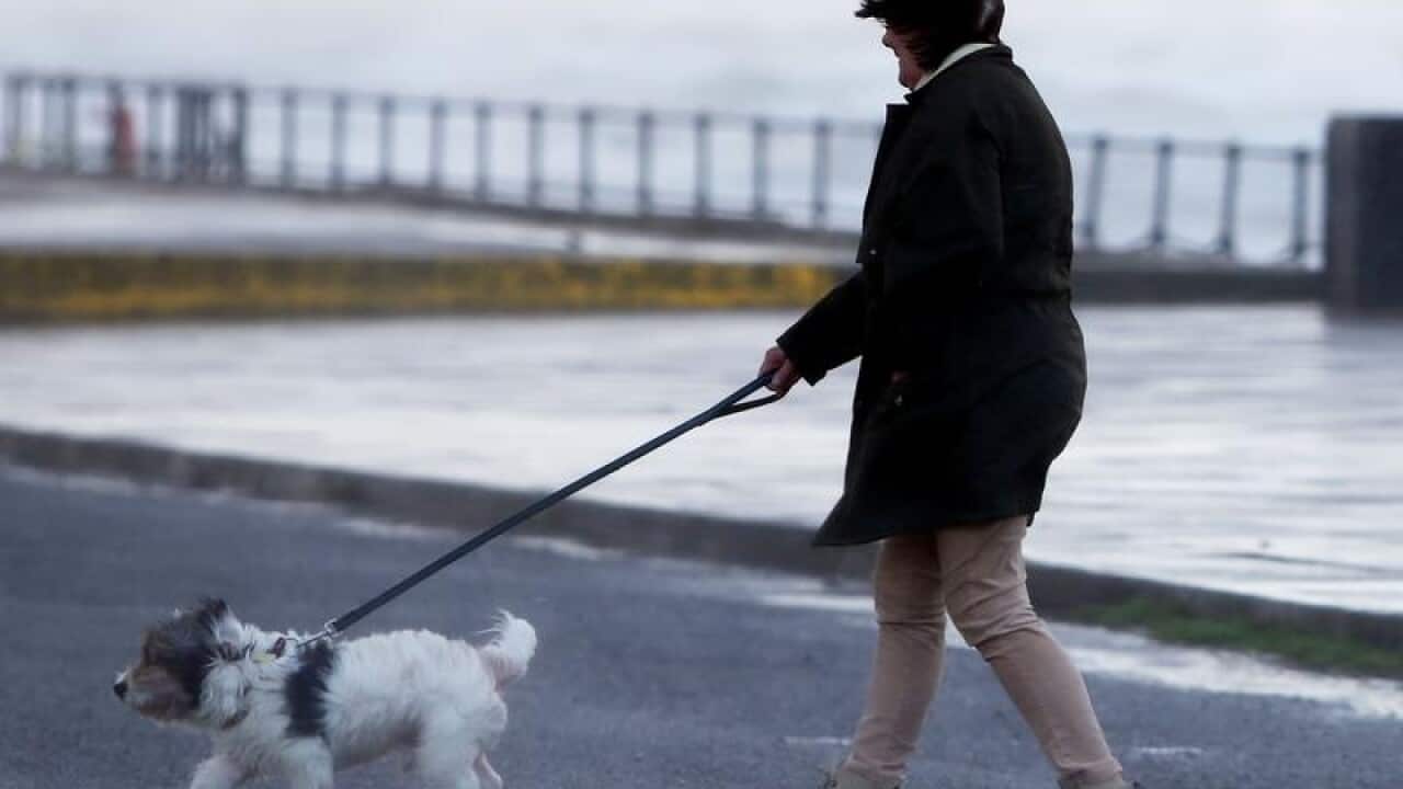 Image for read more article ''