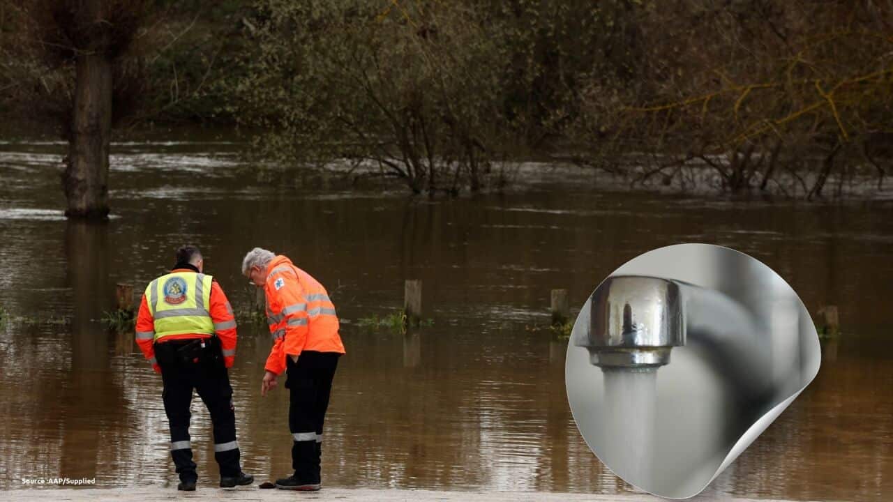 Canvas of 2025 (Presentation) (4).jpg