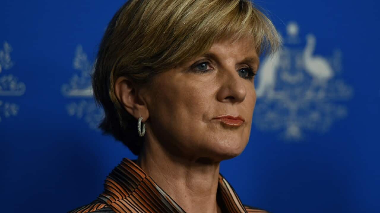 Julie Bishop at a press conference.