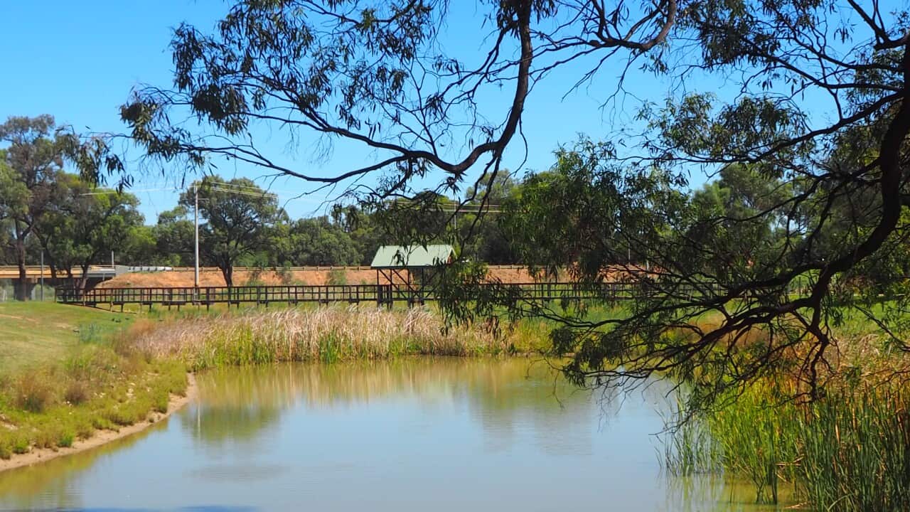 A pond in Buronga, a suburb of Mildura where the first so-called 'ndrangheta tribunals were held beginning in the 1960s.