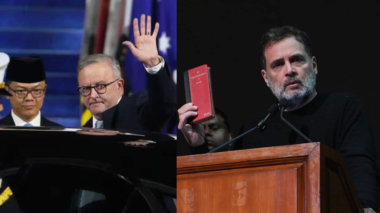 cutout pics (11).jpg