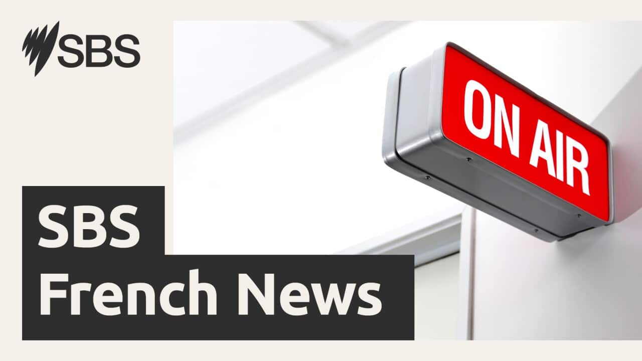 SBS Web Banner SBS French News (LTR).jpg