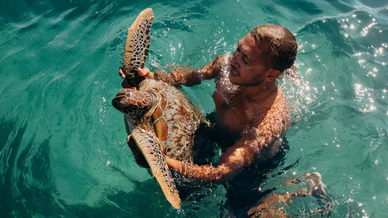 A record number of indigenous rangers have gathered to protect the Kimberley coastline A record number of indigenous rangers have gathered to protect the Kimberley coastline