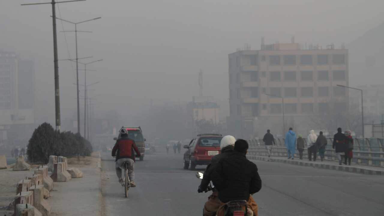 Image for read more article ''