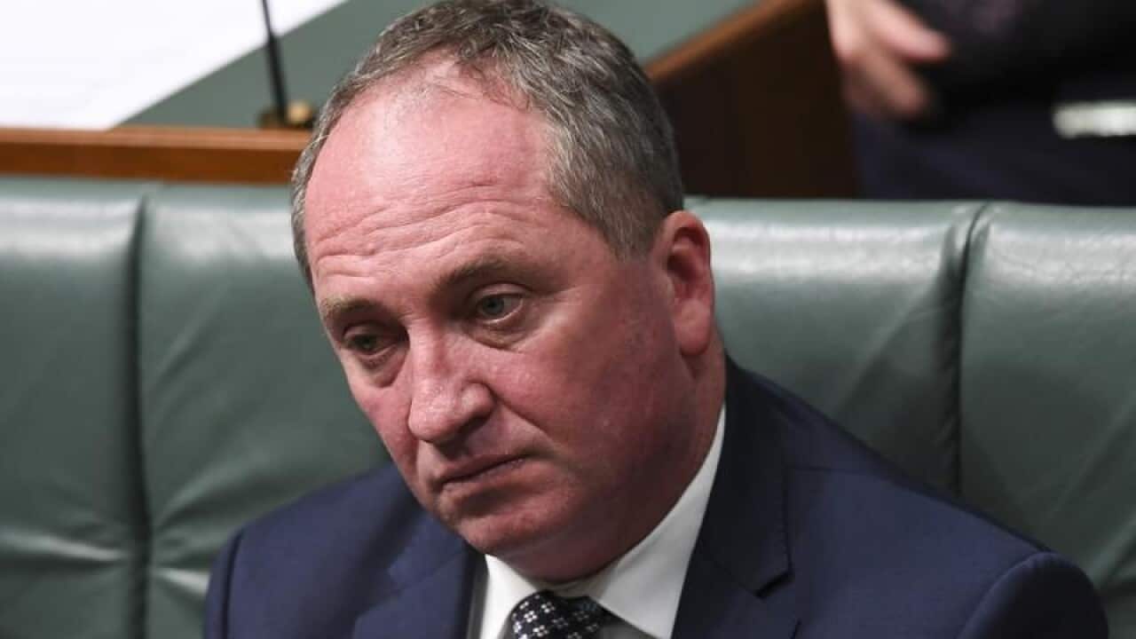 Barnaby Joyce at Parliament House in Canberra.