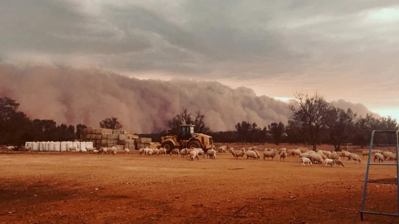 Image for read more article ''