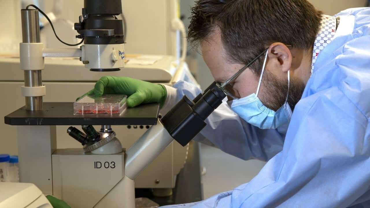 University Of Washington Lab Works On COVID-19 RNA Vaccine