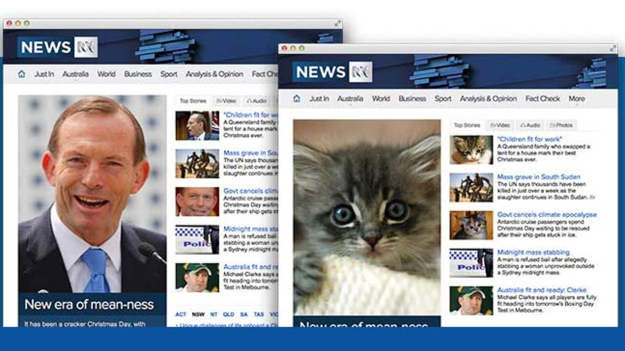 stop_tony_meow.jpg