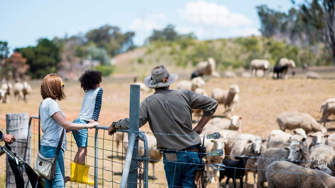 Rural Australians