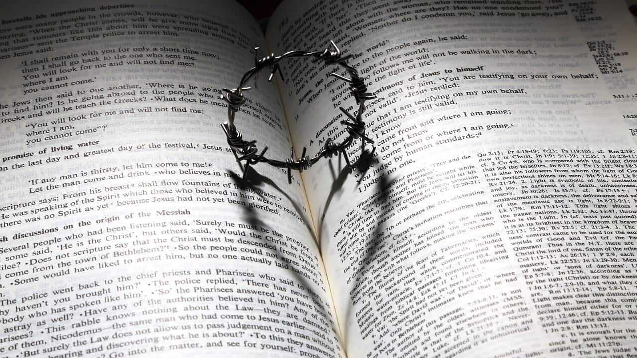 Image for read more article 'RELATED CONTENT:'