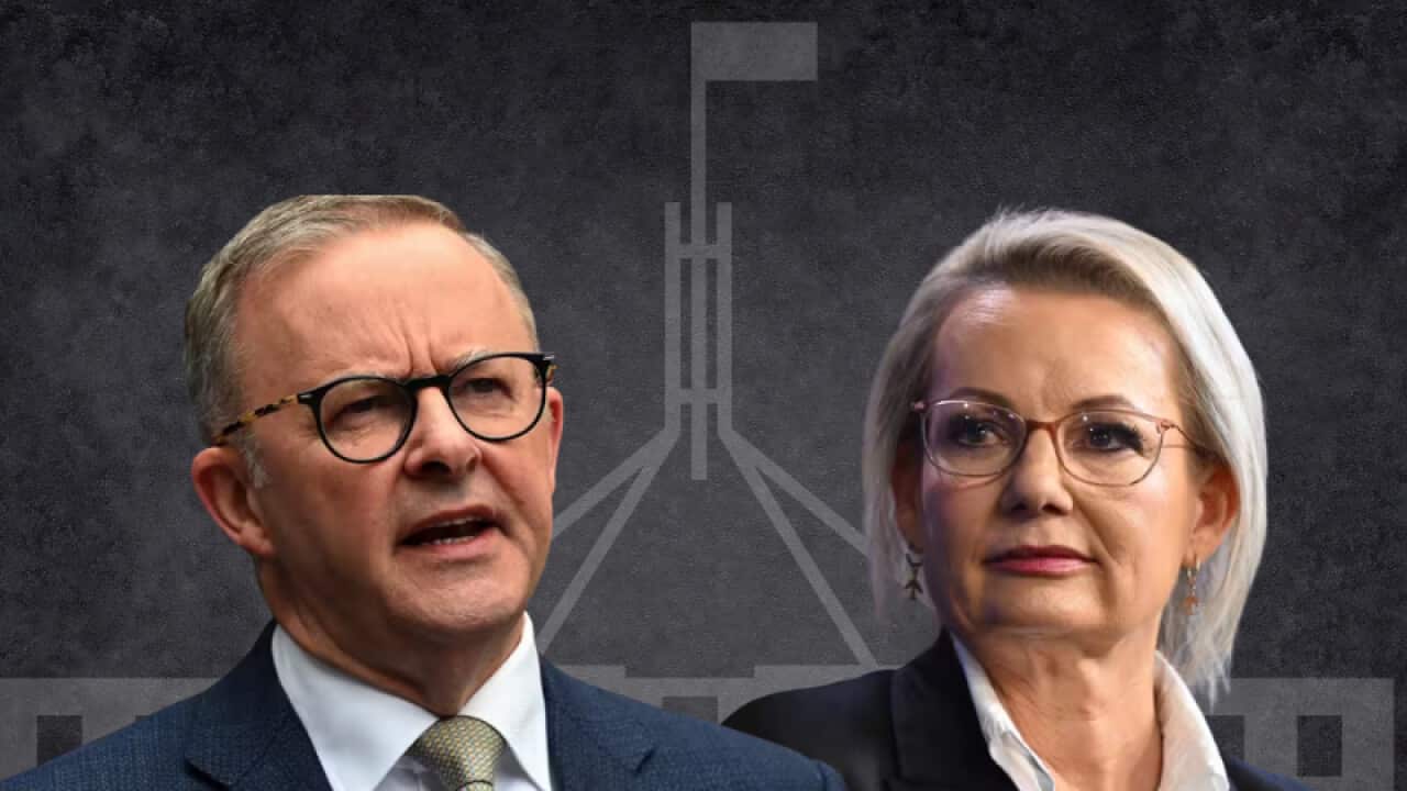 Australian Politics Wrap 2025