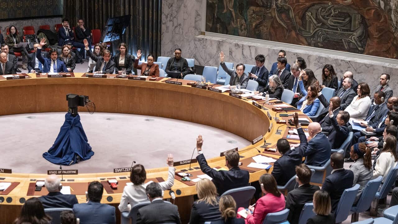 Security Council meeting and voting on resolution on Israel and Gaza conflict