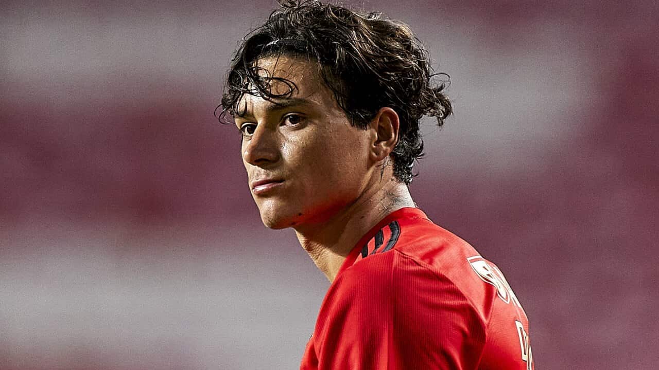 Image for read more article 'veja ainda'