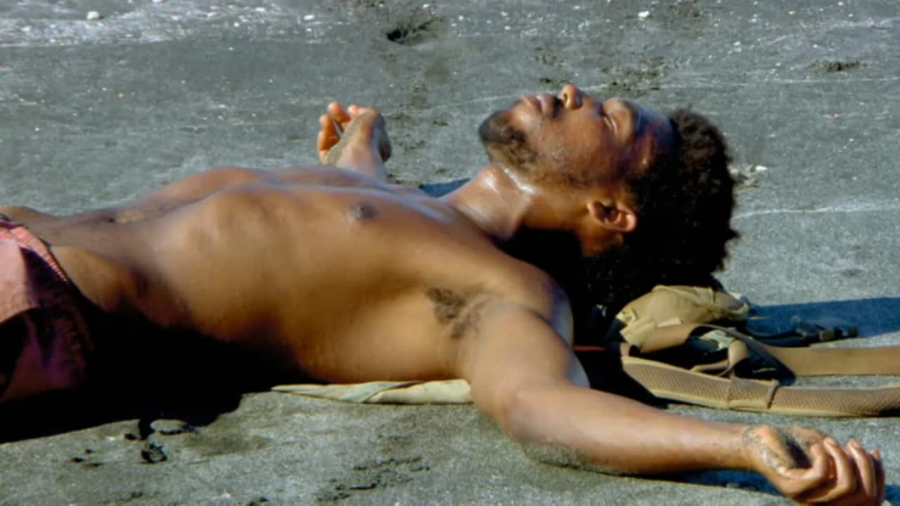 Image for read more article 'More on the Guide'