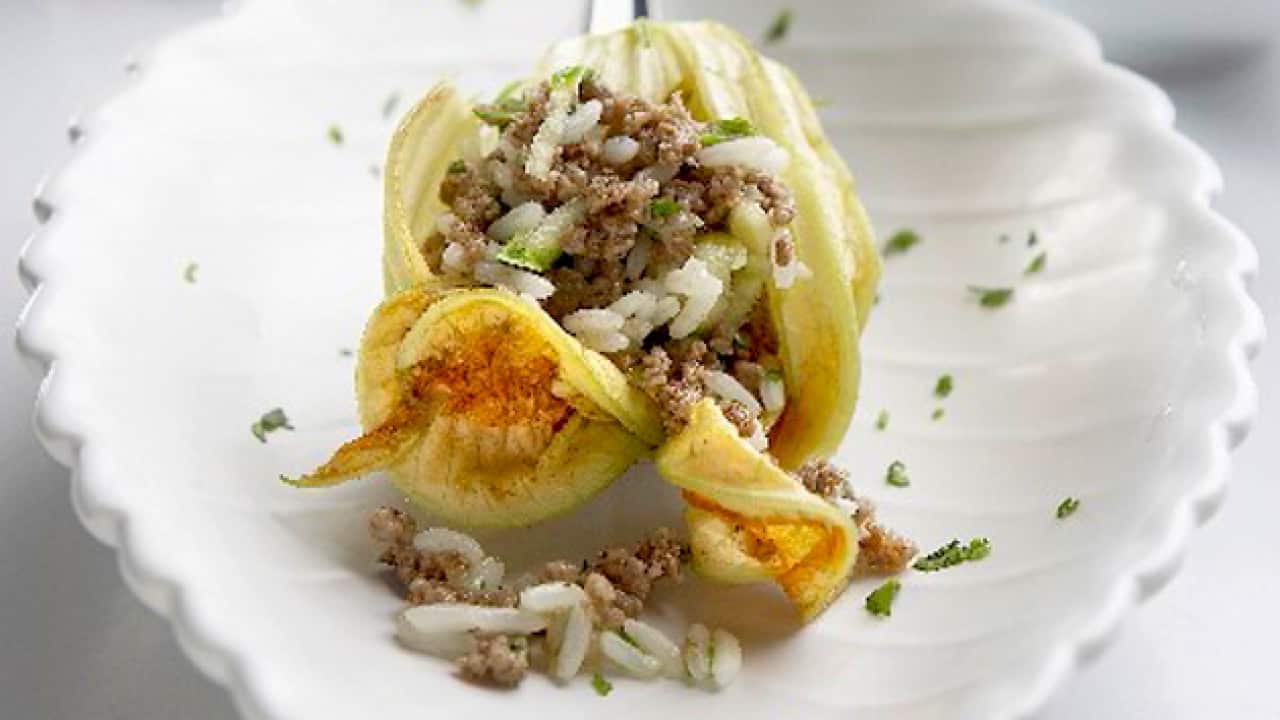 StockFood_00979562---Courgette-Flower-stuffed-with-Mince-and-Rice.png
