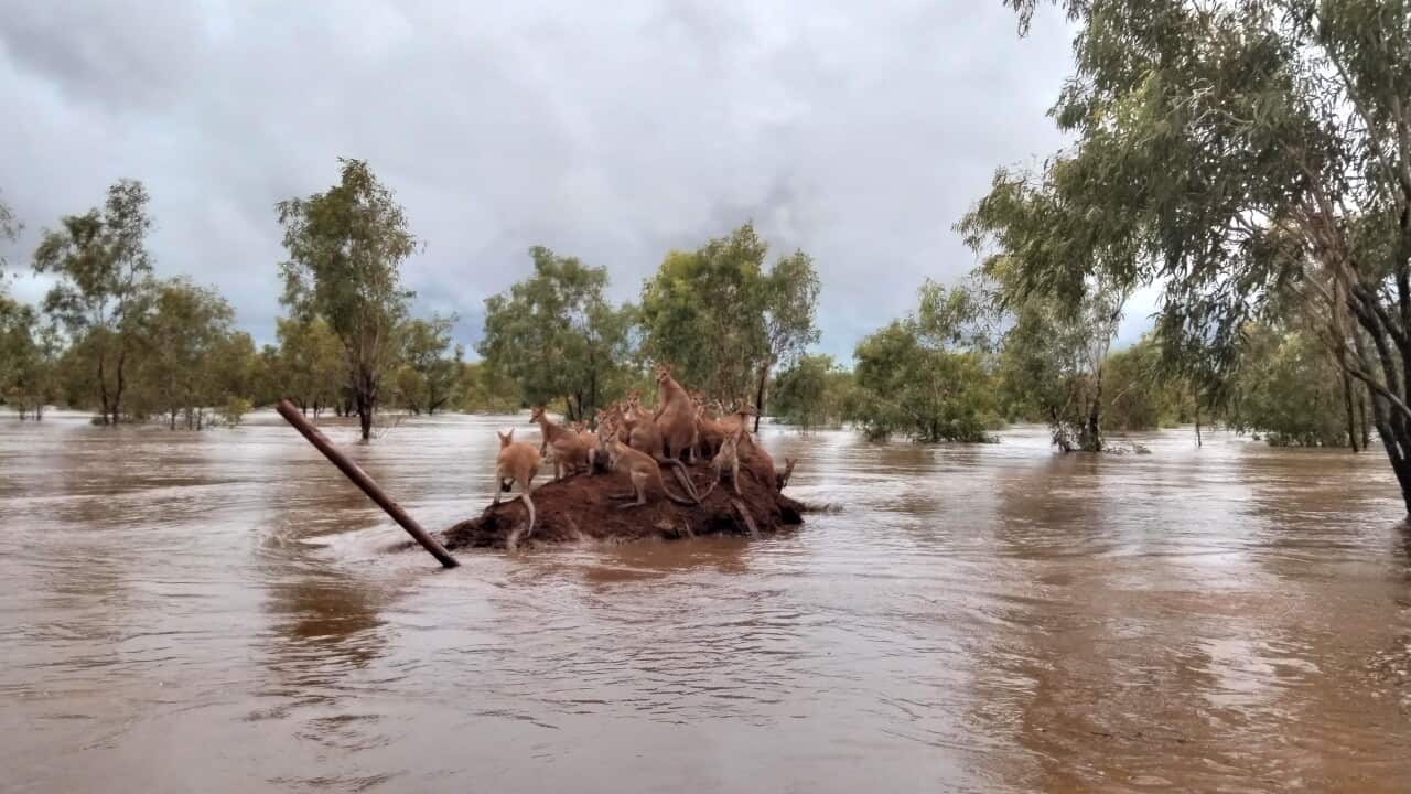 KIMBERLEY FLOODING WA