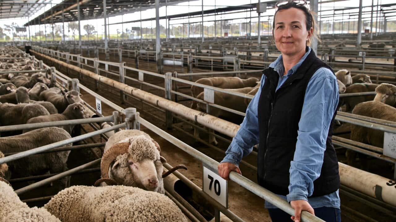Bindi Murray is a second-generation sheep farmer. She says shocking footage had forced the industry to improve.