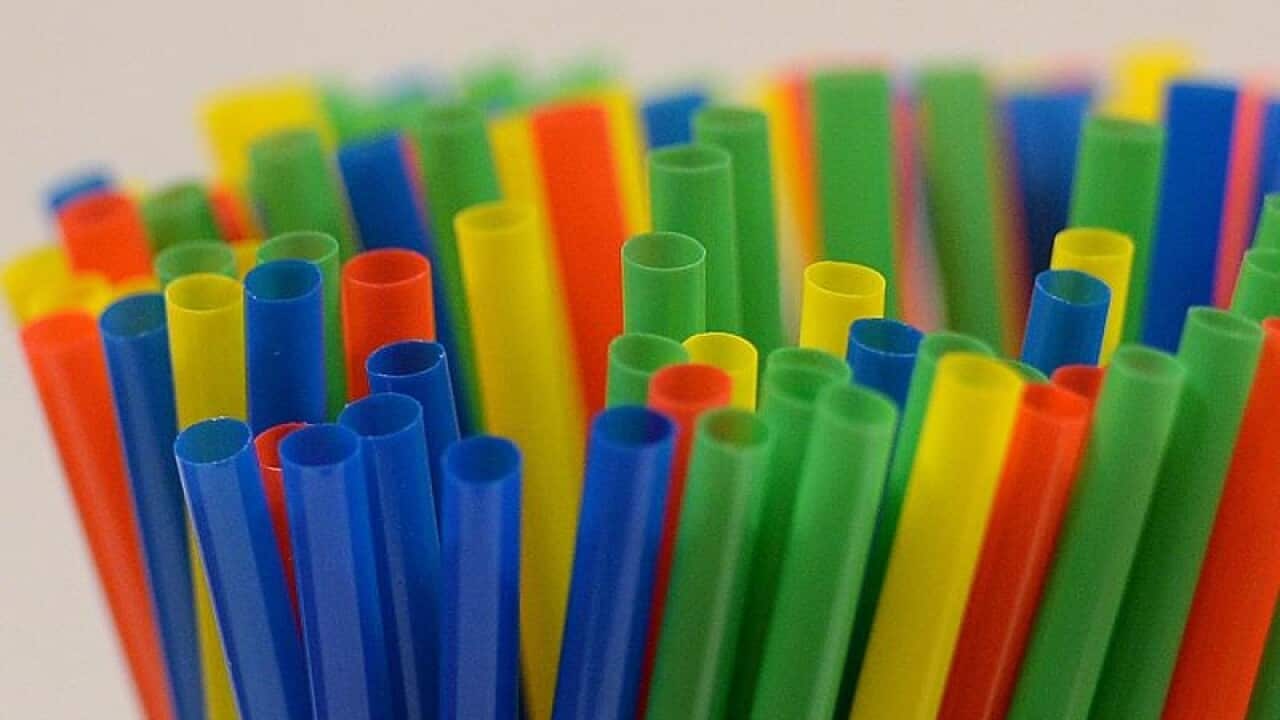 Coca-Cola Amatil will phase out plastic straws over the next two months.