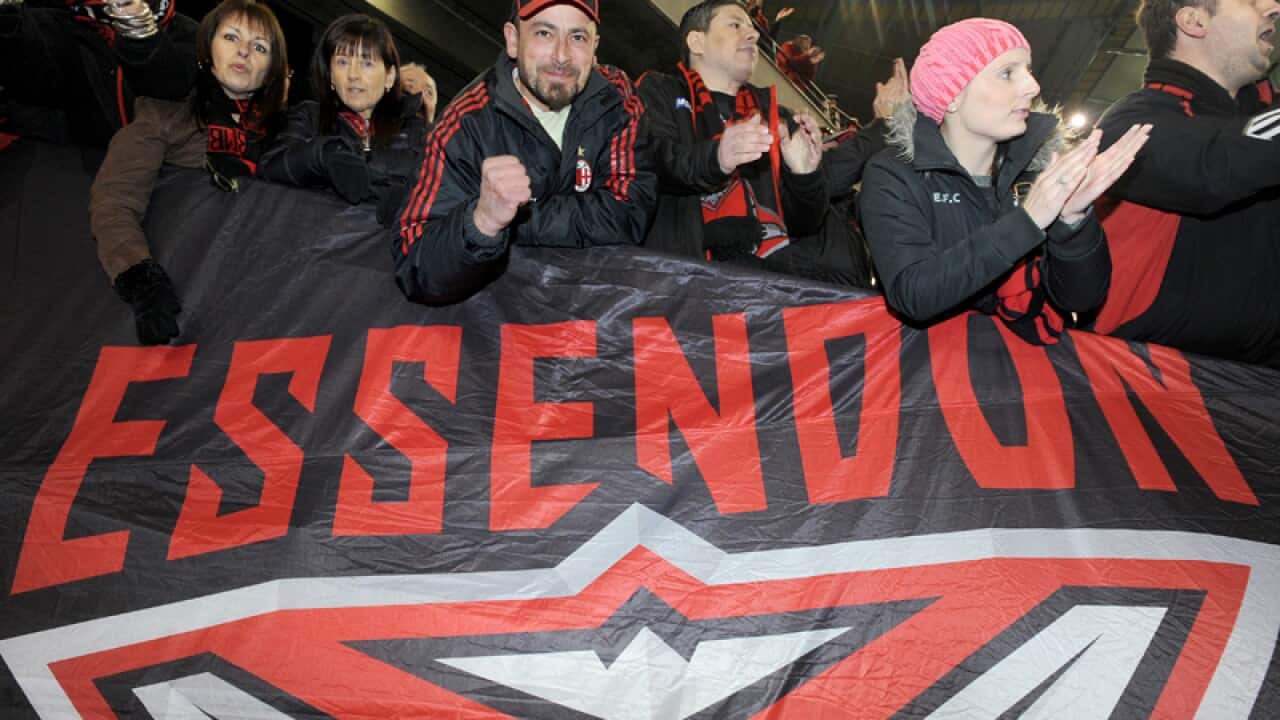 Essendon fans celebrate