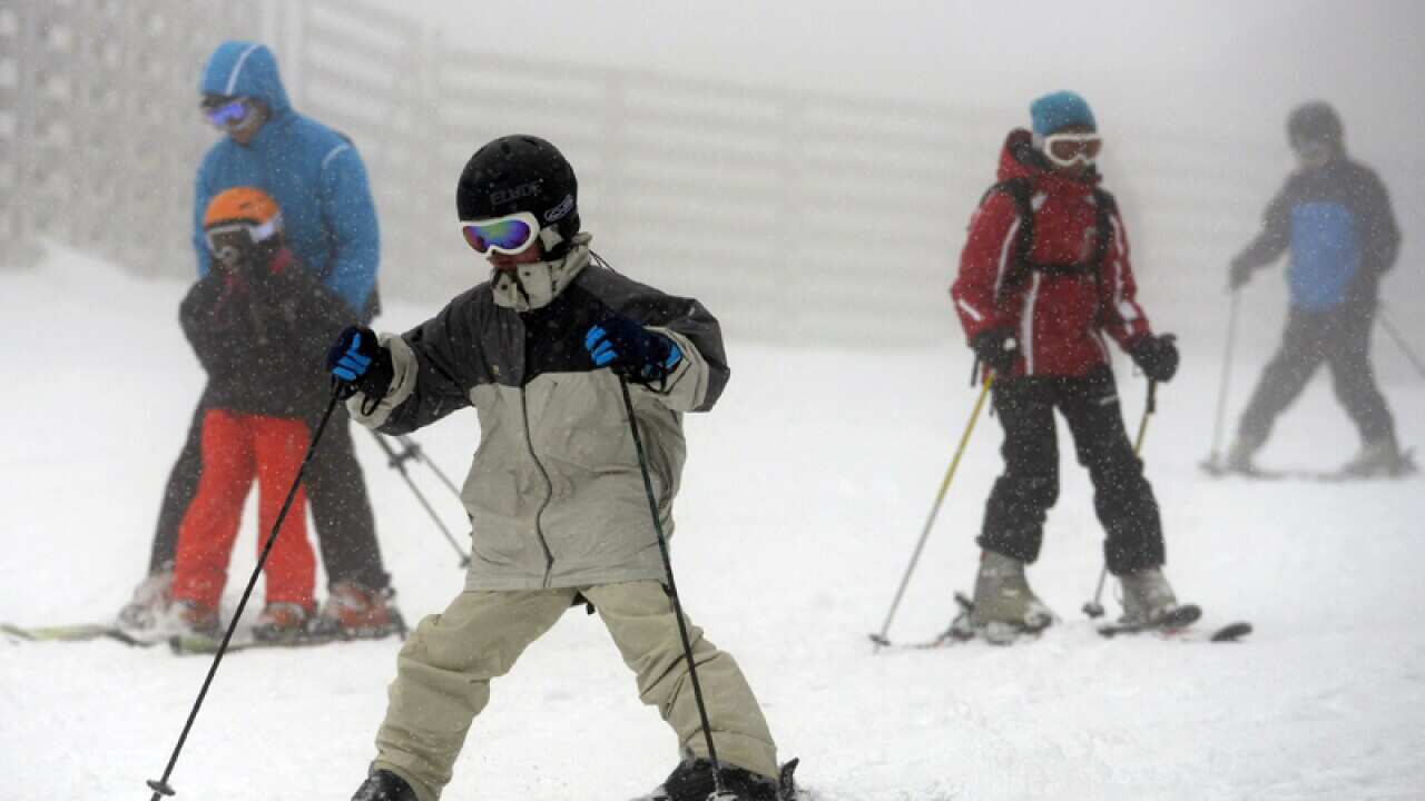 Skiers on Wombats Ramble in Falls Creek