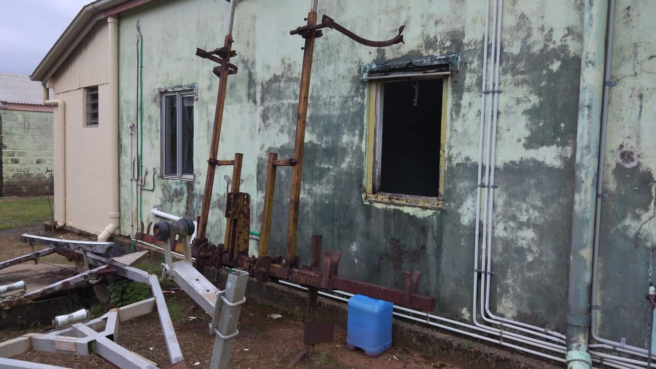 Tagata faigaluega vaitaimi.