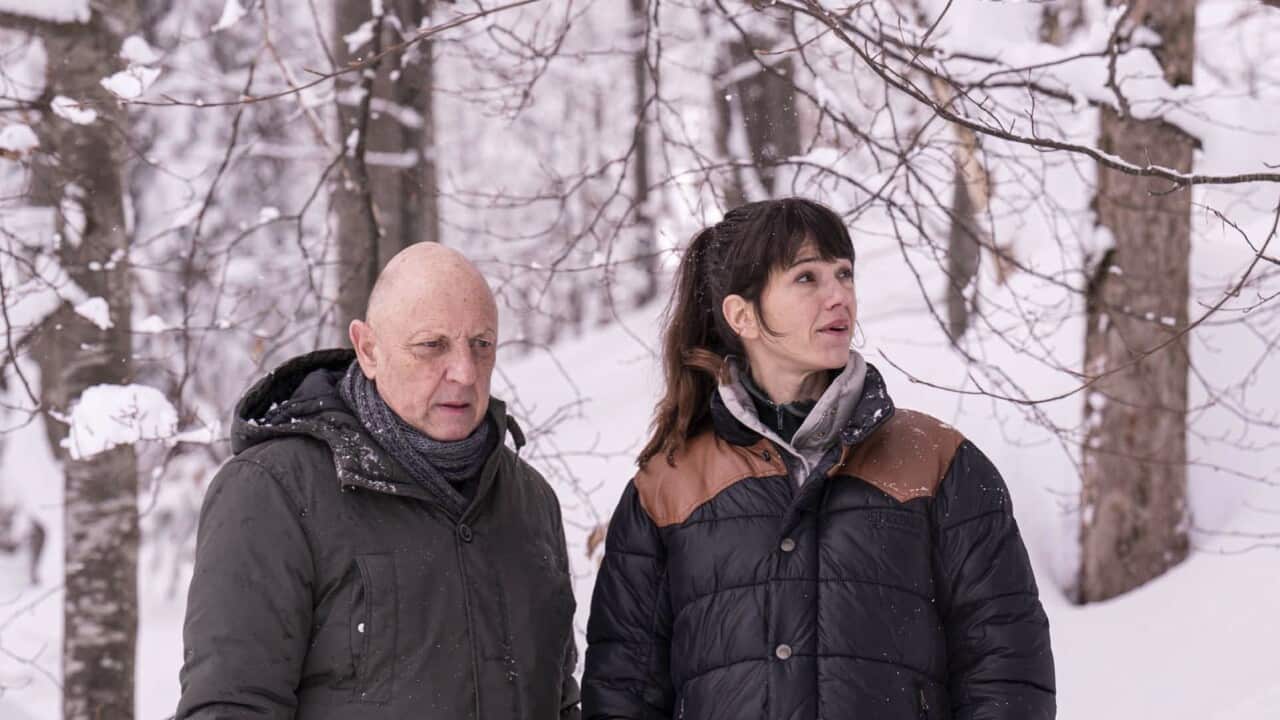 Wilder season 4
