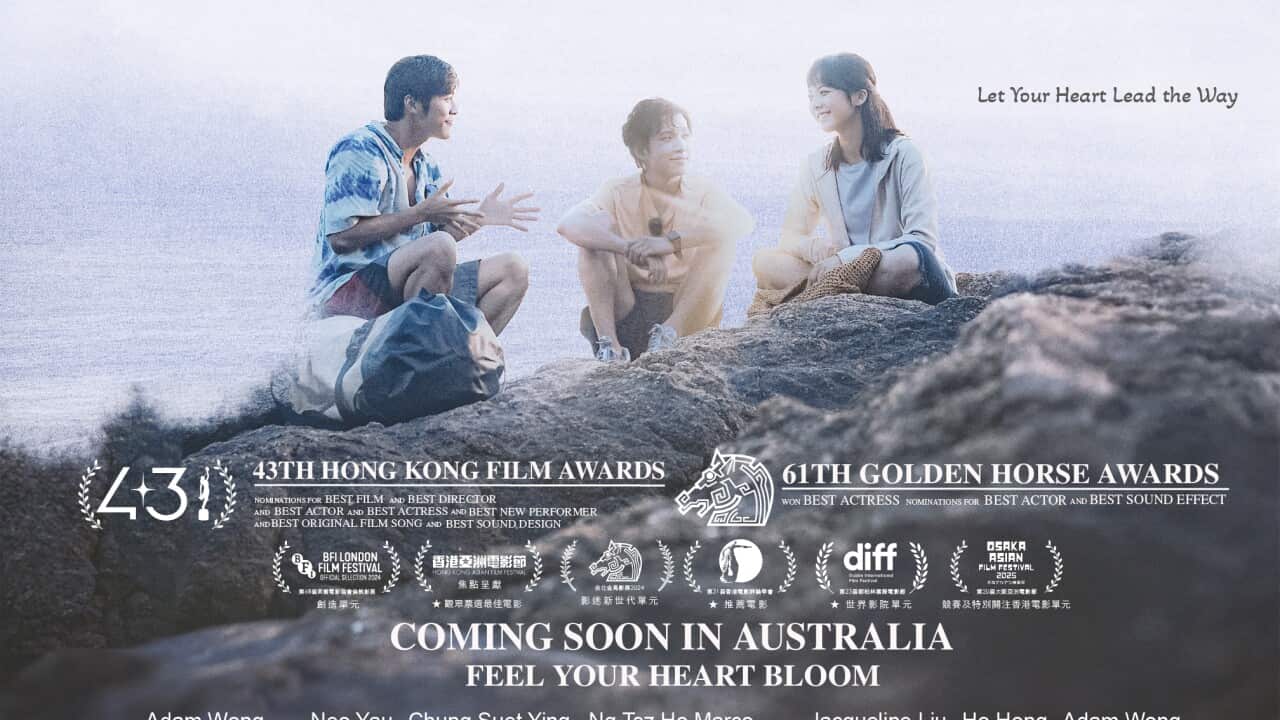 Image for read more article ''