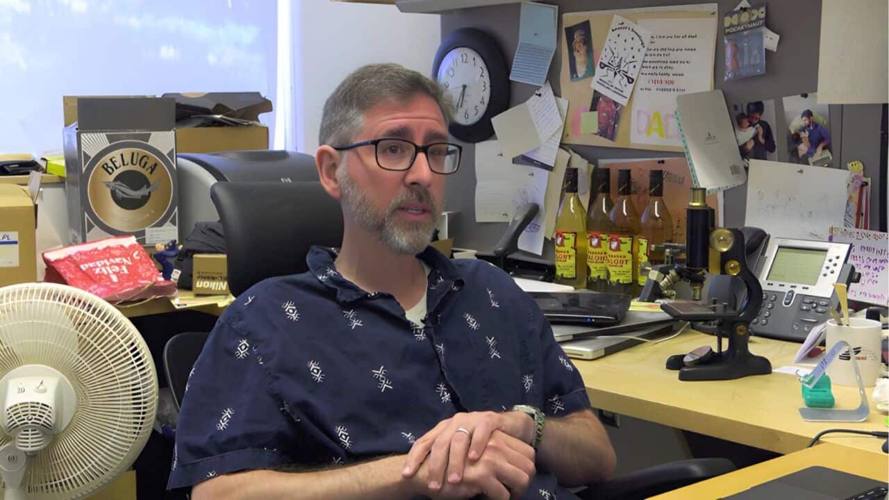 Epidemiologist Jason Rasgon, from Penn State University (AP).jpg